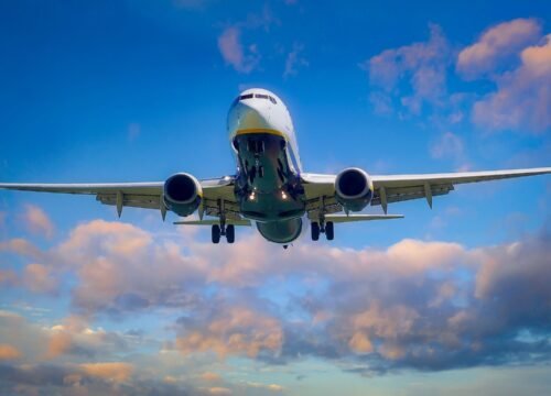 How can I call Turkish Airlines for free?