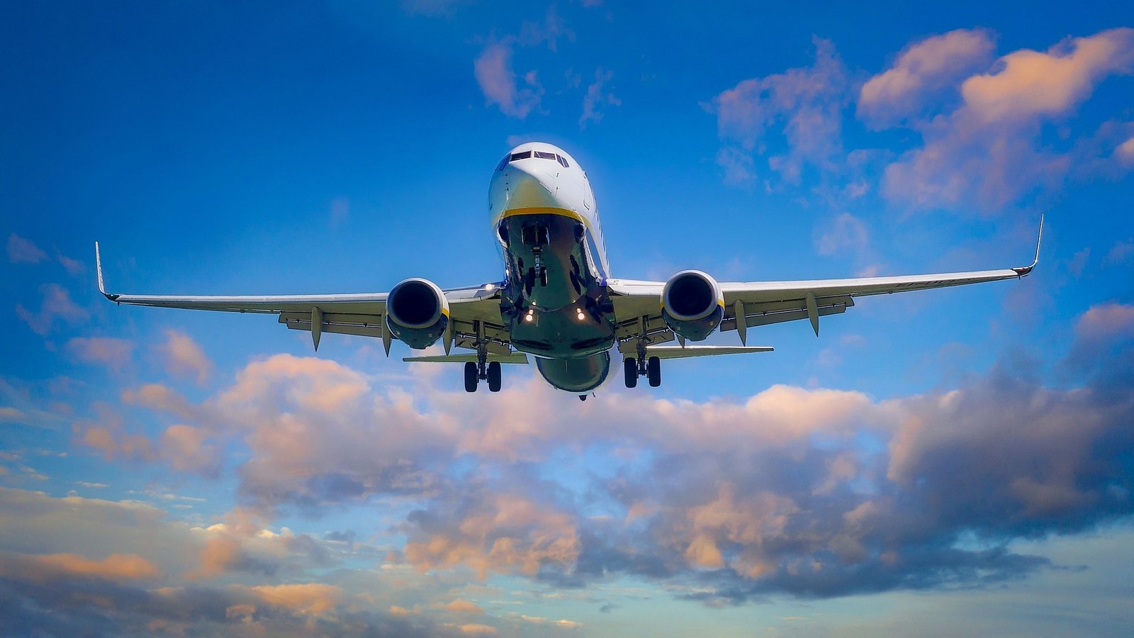 How can I call Turkish Airlines for free?